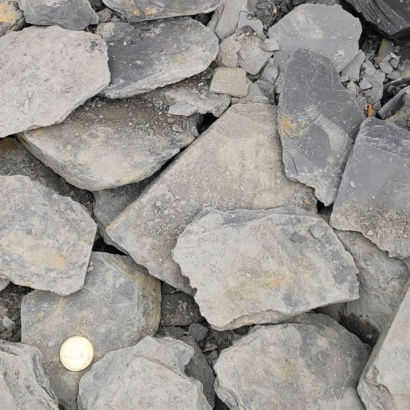 Paillettes D’ardoise - 50/100 2 Paillettes D’ardoise - 50/100 – Image 2