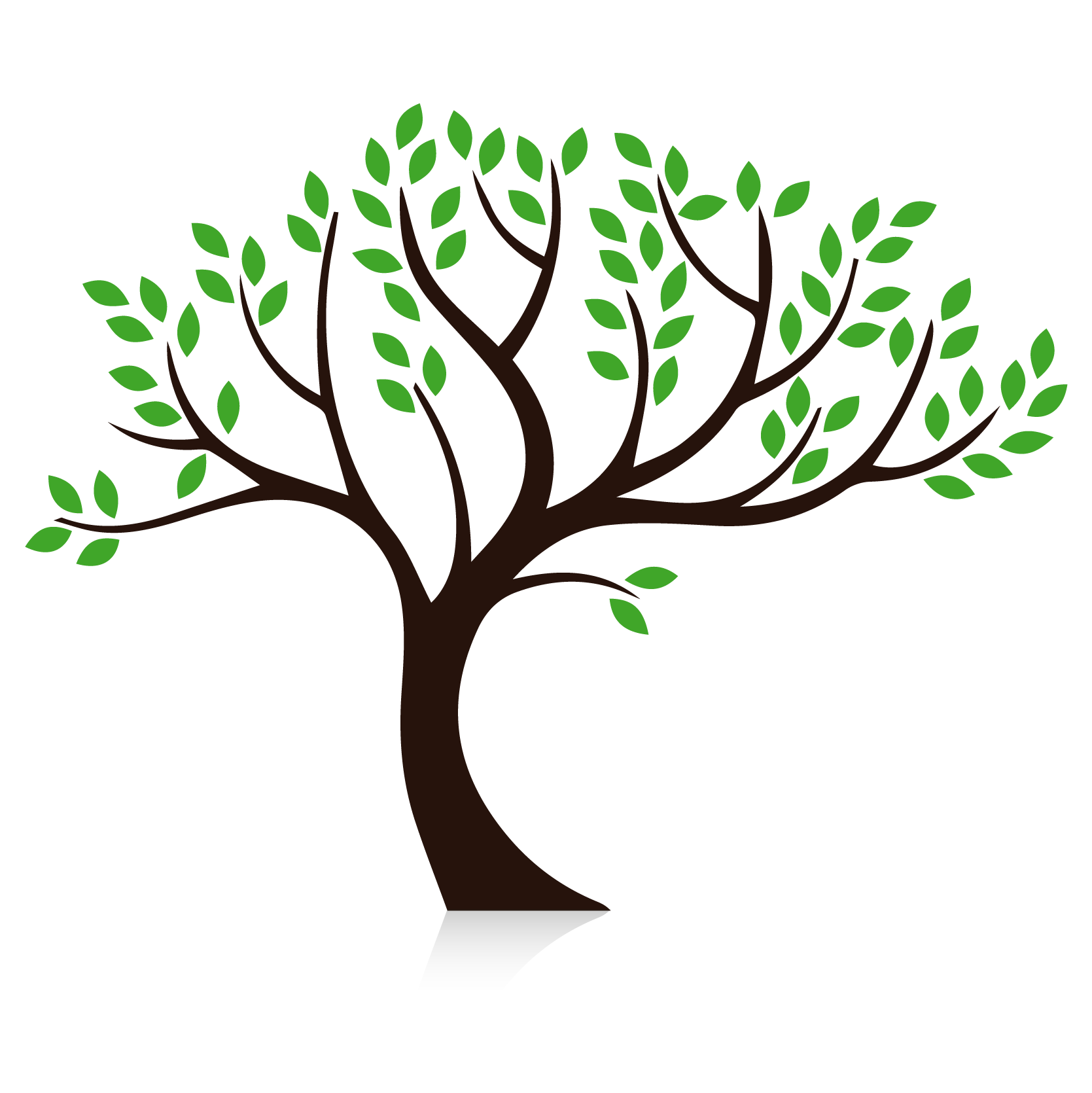 Promos Vert Espace Magasin