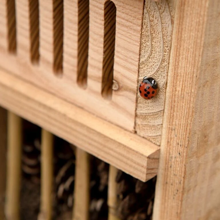 Promos Vert Espace Magasin -Promos Vert Espace Magasin hotel a insectes tour h 120cm x l 20cm x p 20cm 1 768x768 1